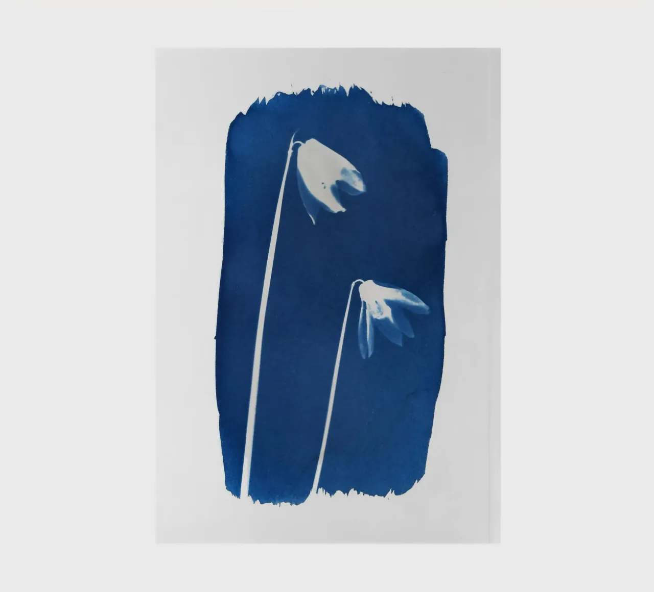 Snowdrops Cyanotype notebook by Kim Hubball Studio