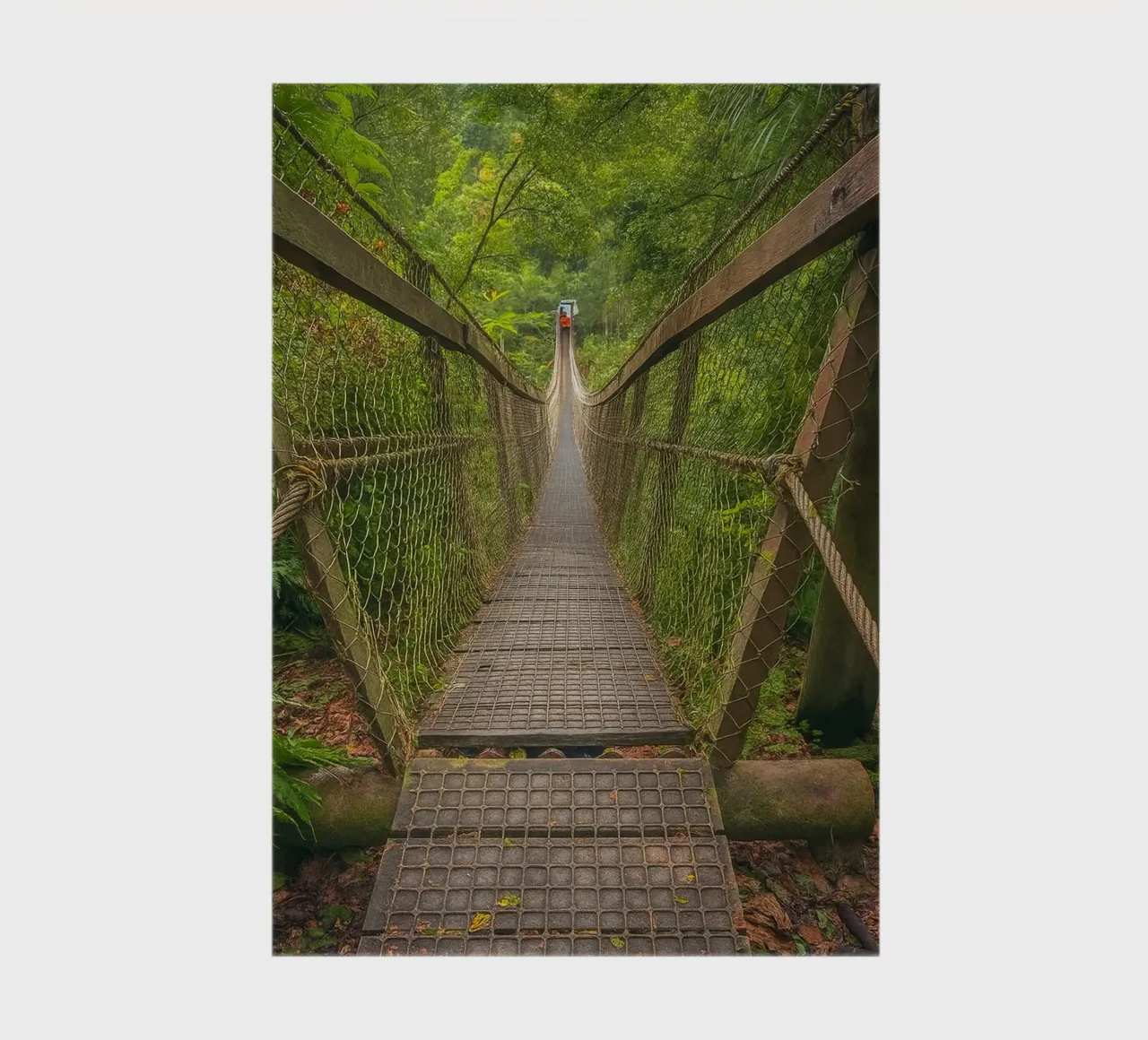 bridge at the forrest notebook by tamarind