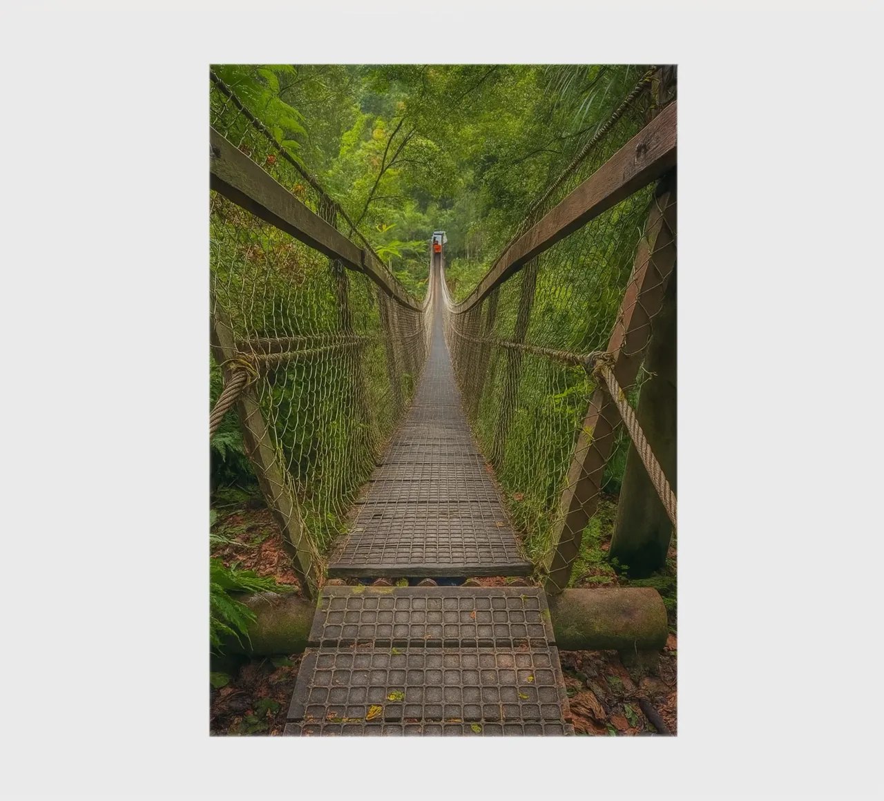 bridge at the forrest notebook by tamarind