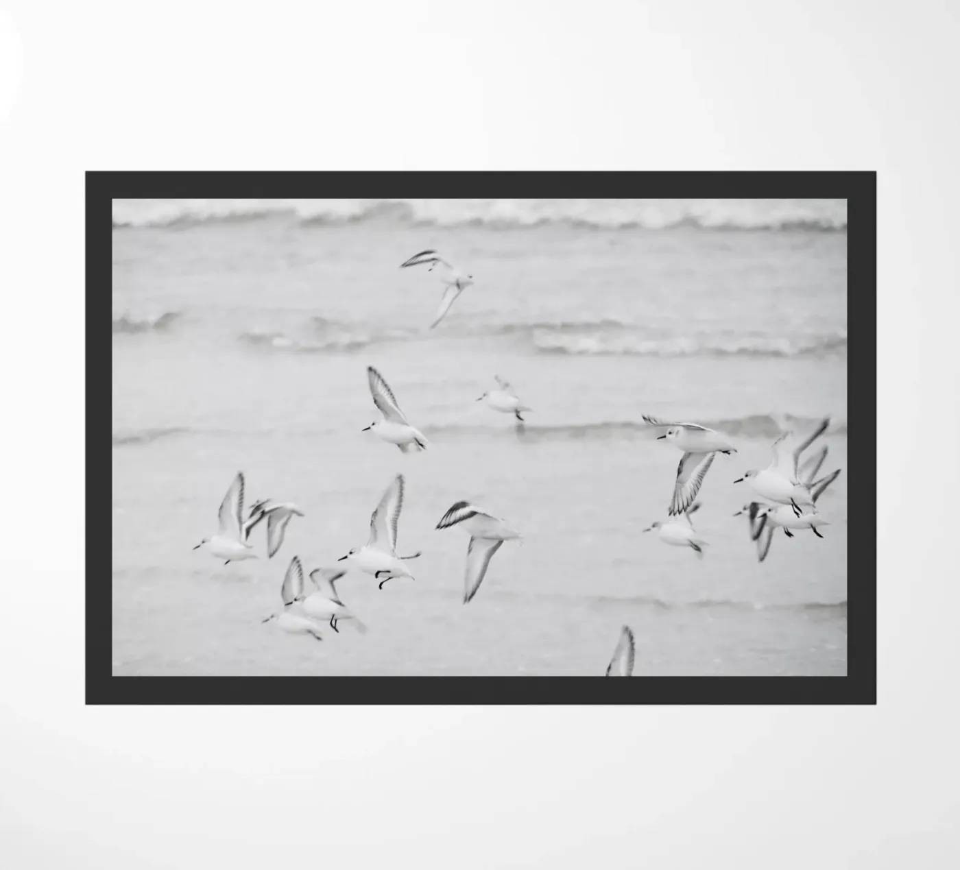 Flying seabirds doormat by Fjöllart