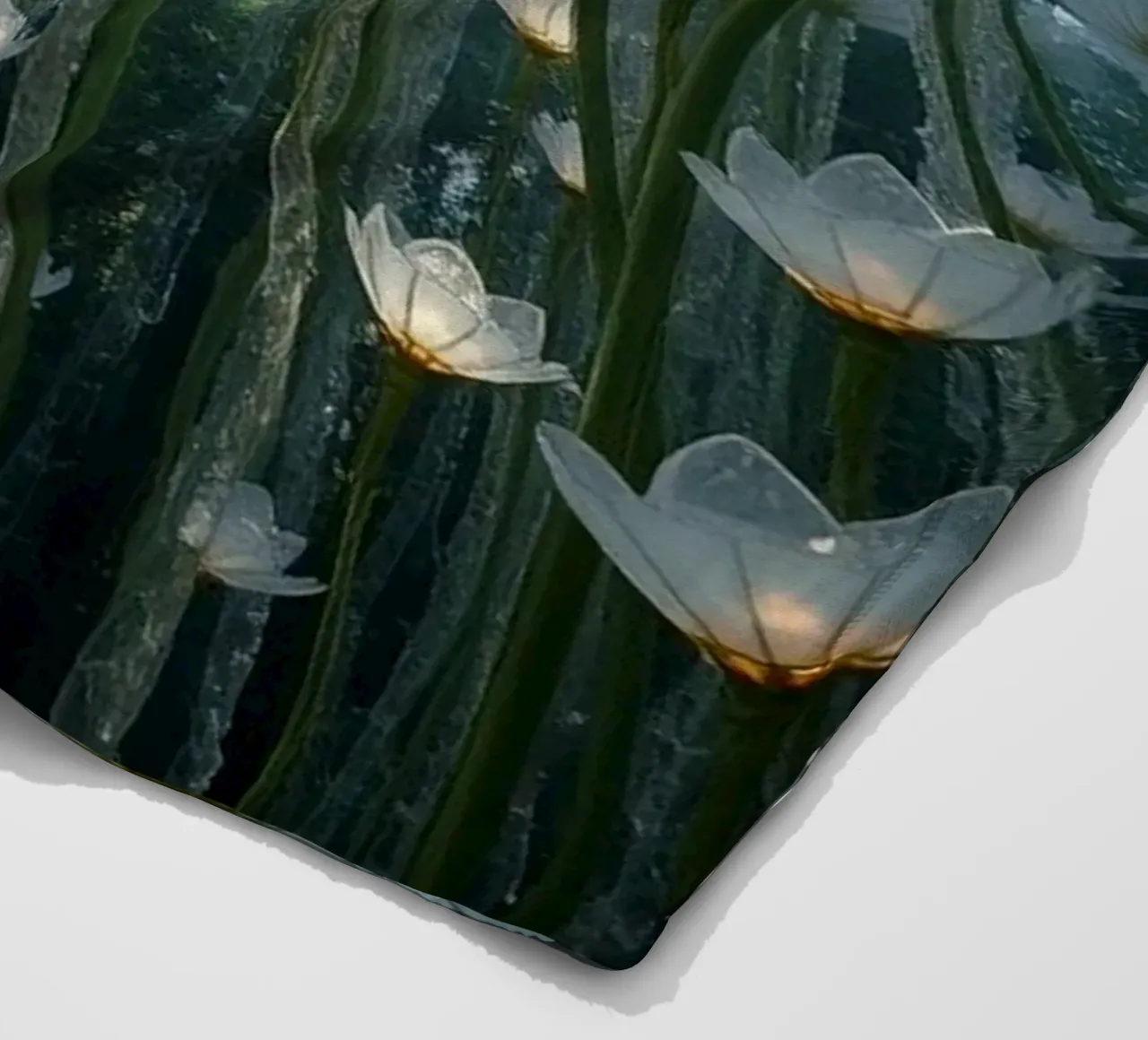 Luminari radiosi: Uno sguardo abbagliante coperta in pile da Artistic-shop