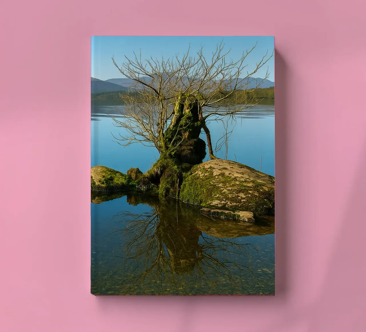 dry tree in the middle of lake notebook by tamarind