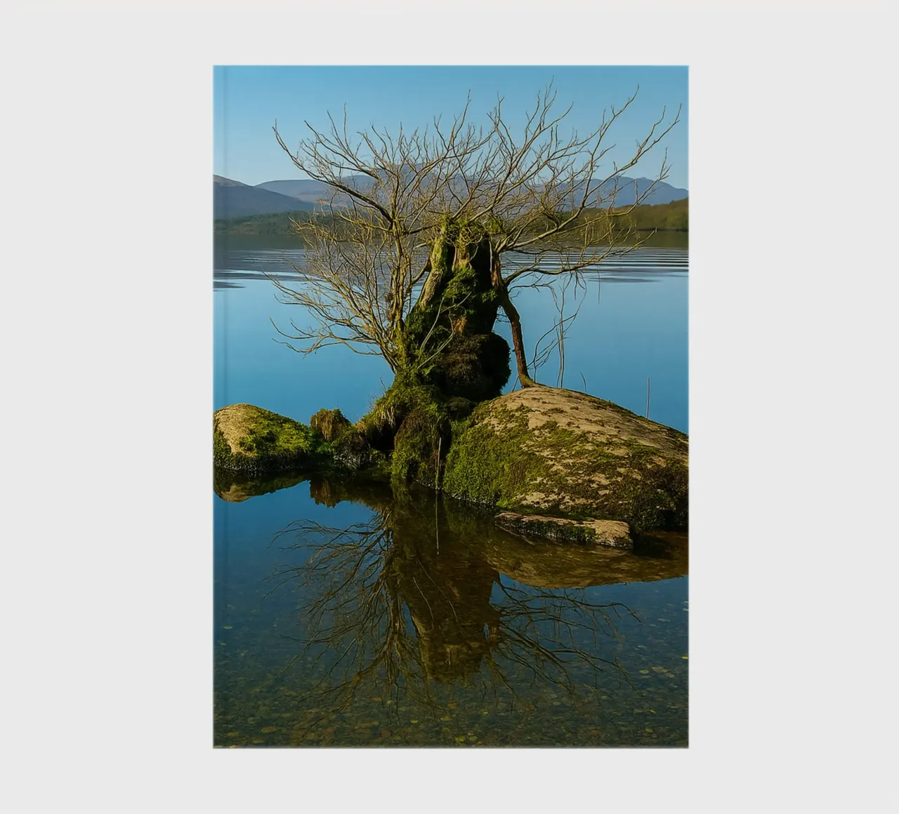 dry tree in the middle of lake notebook by tamarind