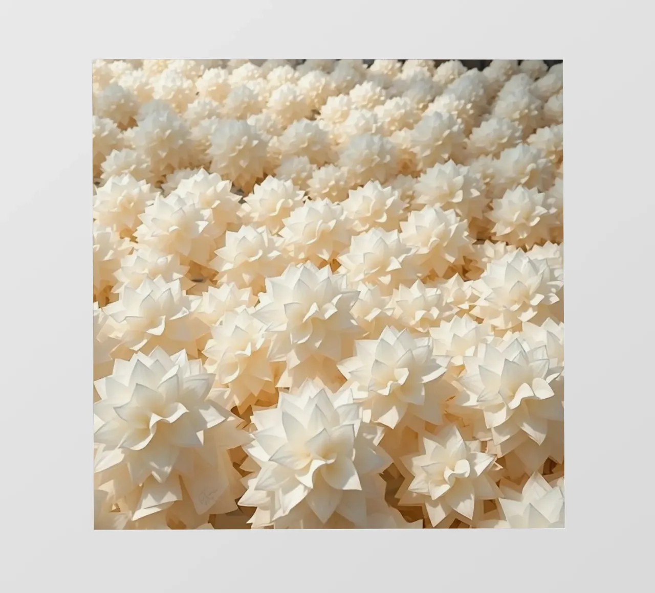 Dalie bianche luminescenti: Un campo di carta telo in pvc da Artistic-shop
