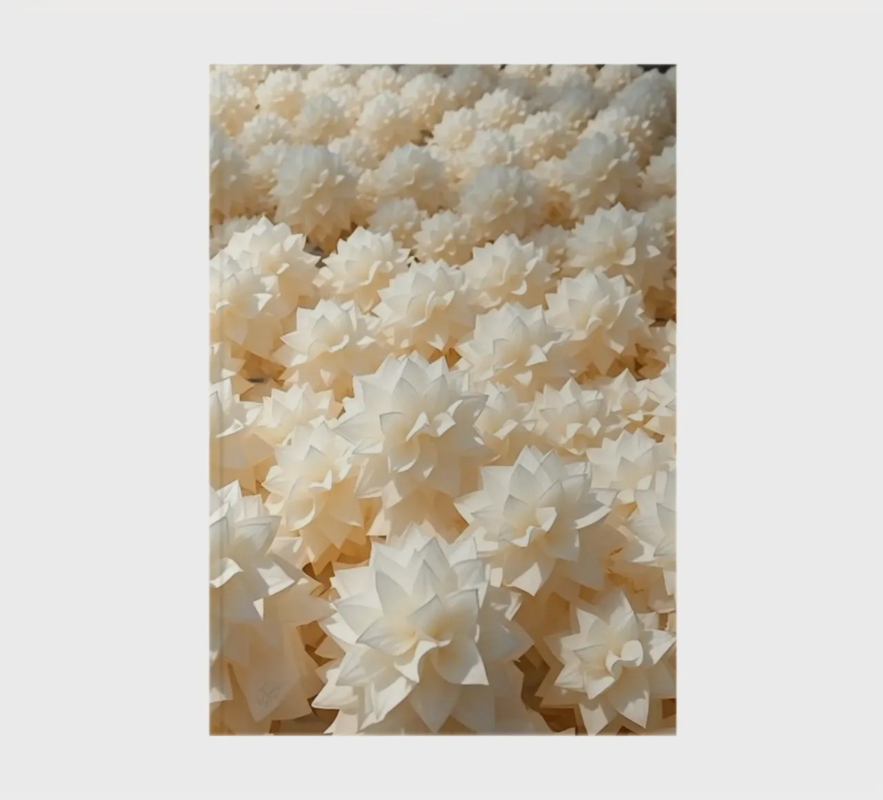 Luminescent White Dahlias: A Field of Paper notebook by Artistic-shop