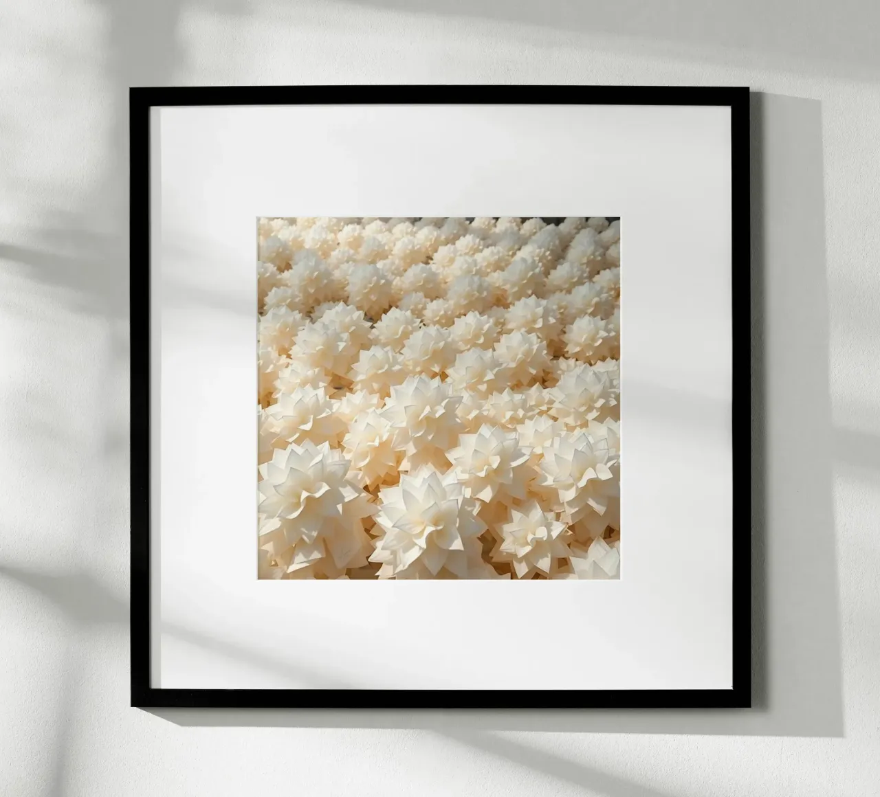 Luminescent White Dahlias: A Field of Paper hahnemühle by Artistic-shop