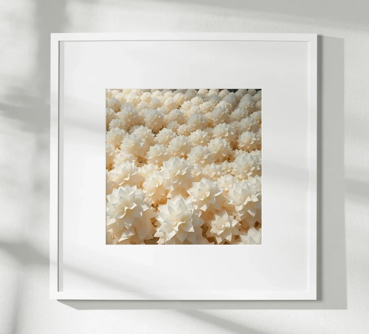 Luminescent White Dahlias: A Field of Paper hahnemühle by Artistic-shop