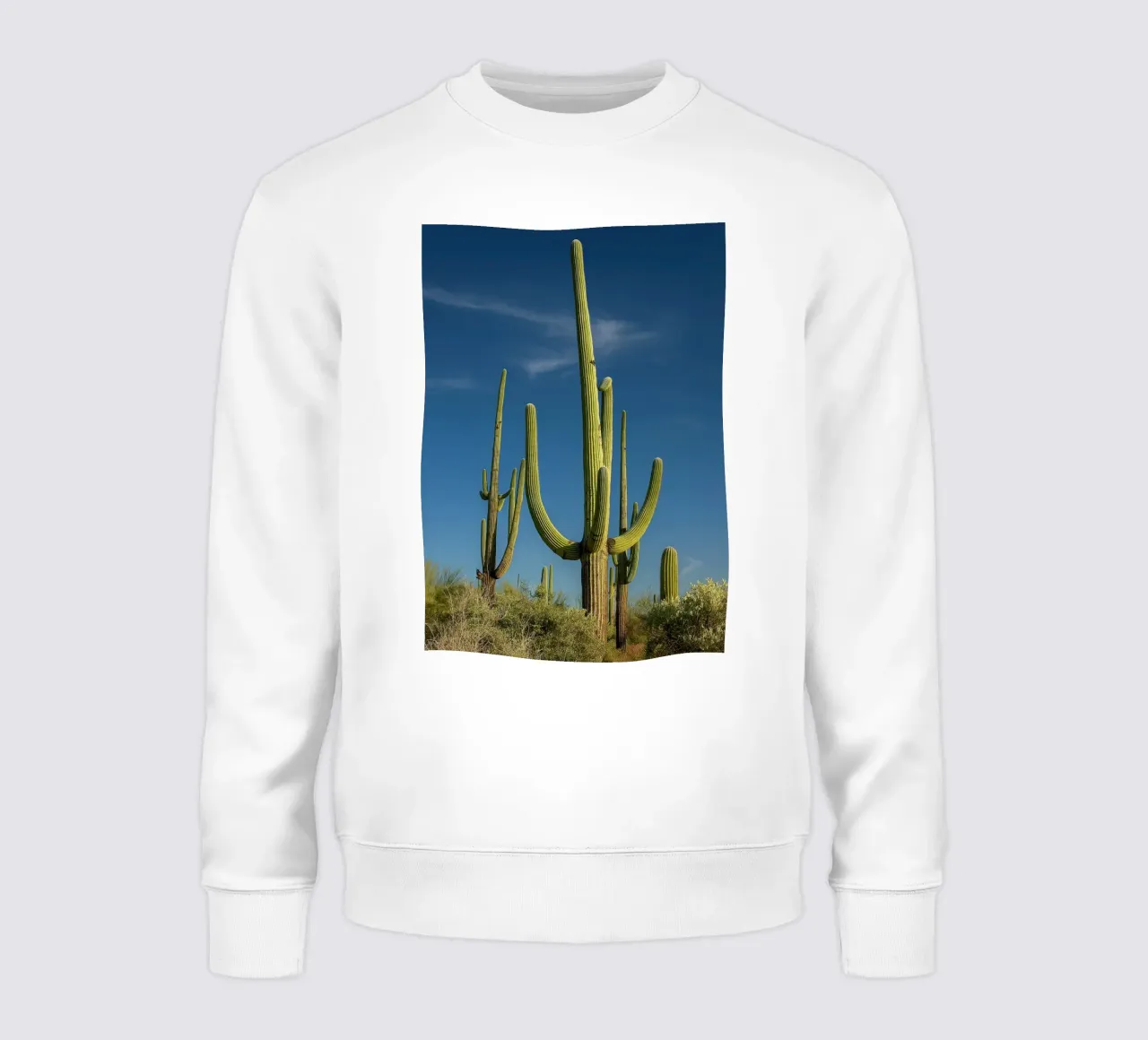 alberi di cactus felpa da tamarind