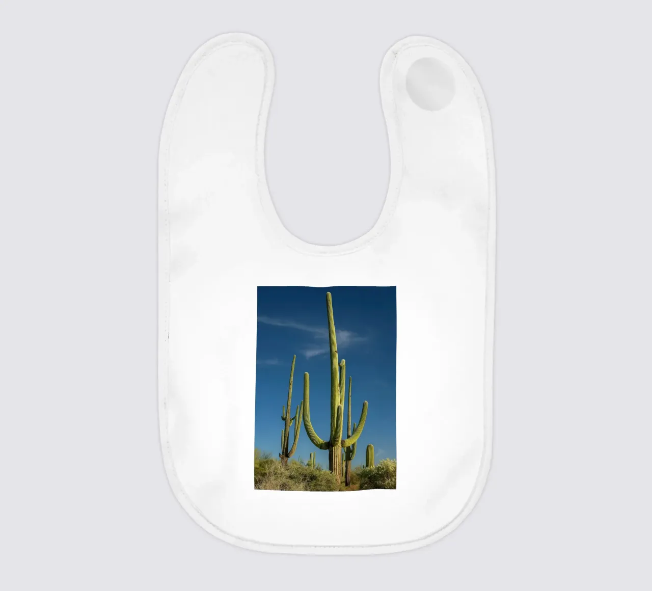 alberi di cactus bavaglino da tamarind