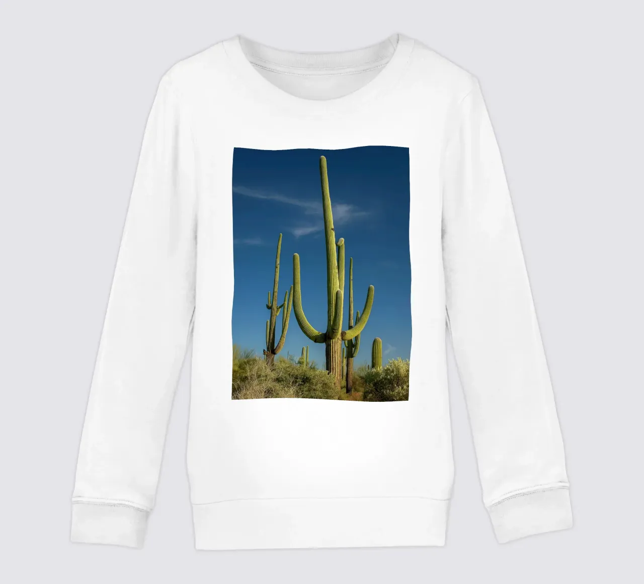 alberi di cactus felpa bambino da tamarind