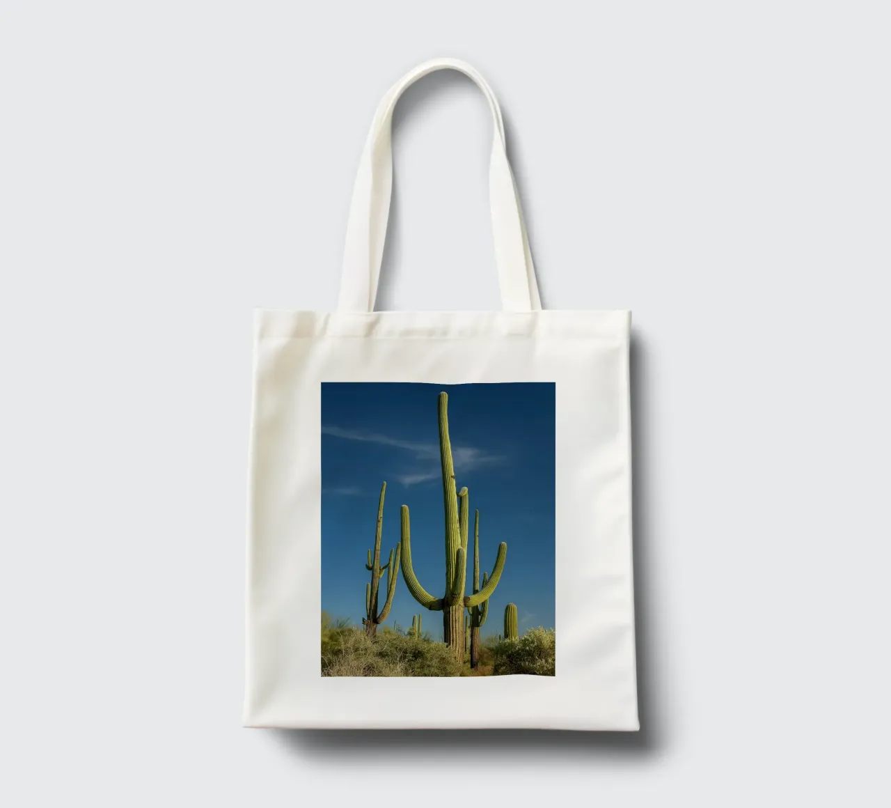 alberi di cactus borsa in juta da tamarind