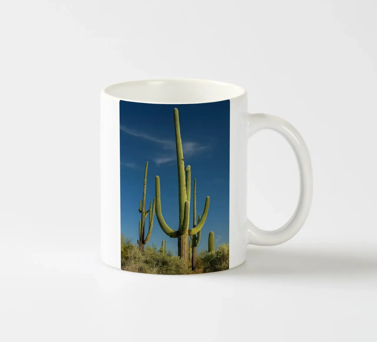 alberi di cactus tazza in ceramica da tamarind