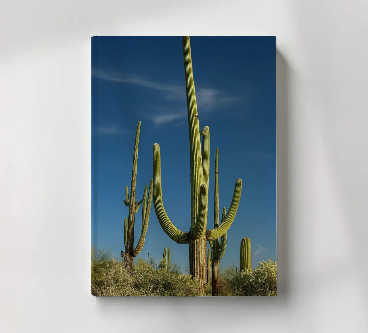 cactus trees notebook by tamarind