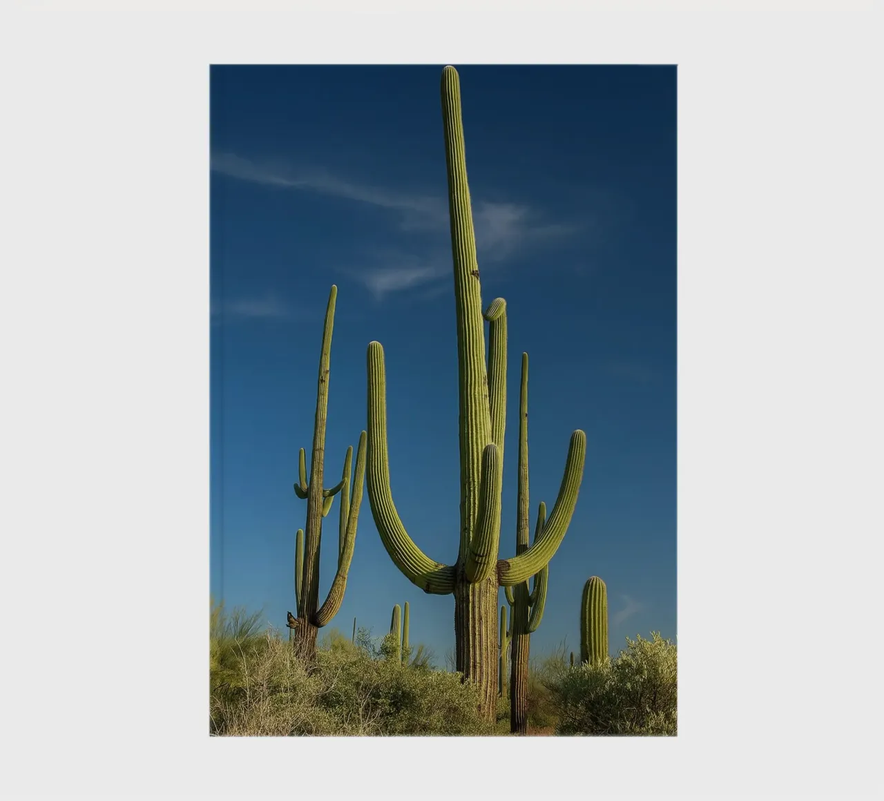 cactus trees notebook by tamarind