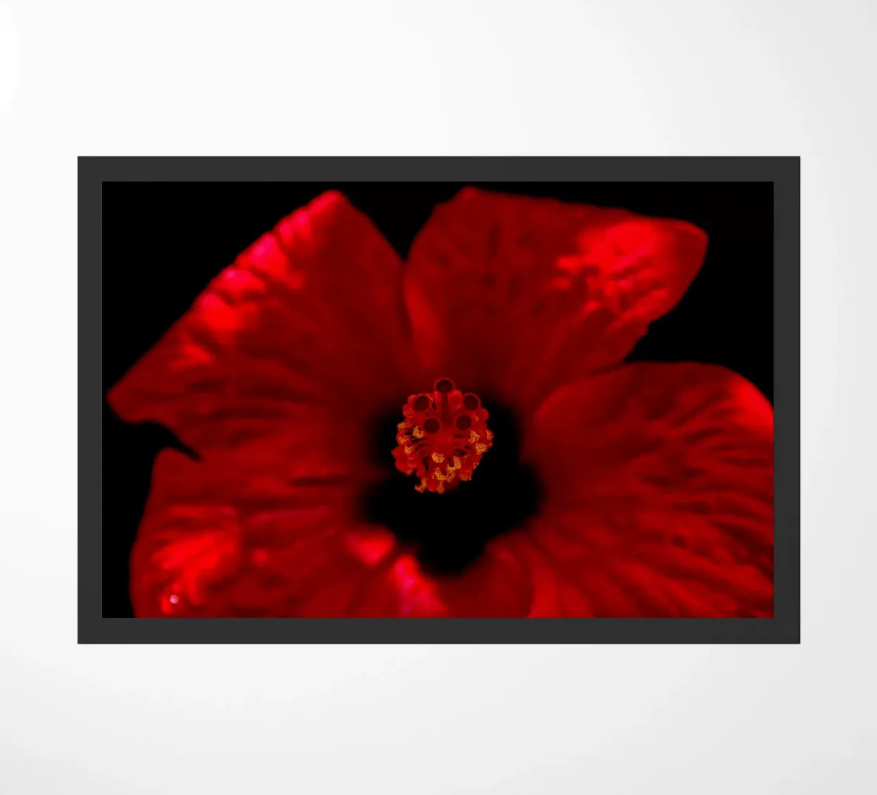 Fiore rosso zerbino da Fjöllart