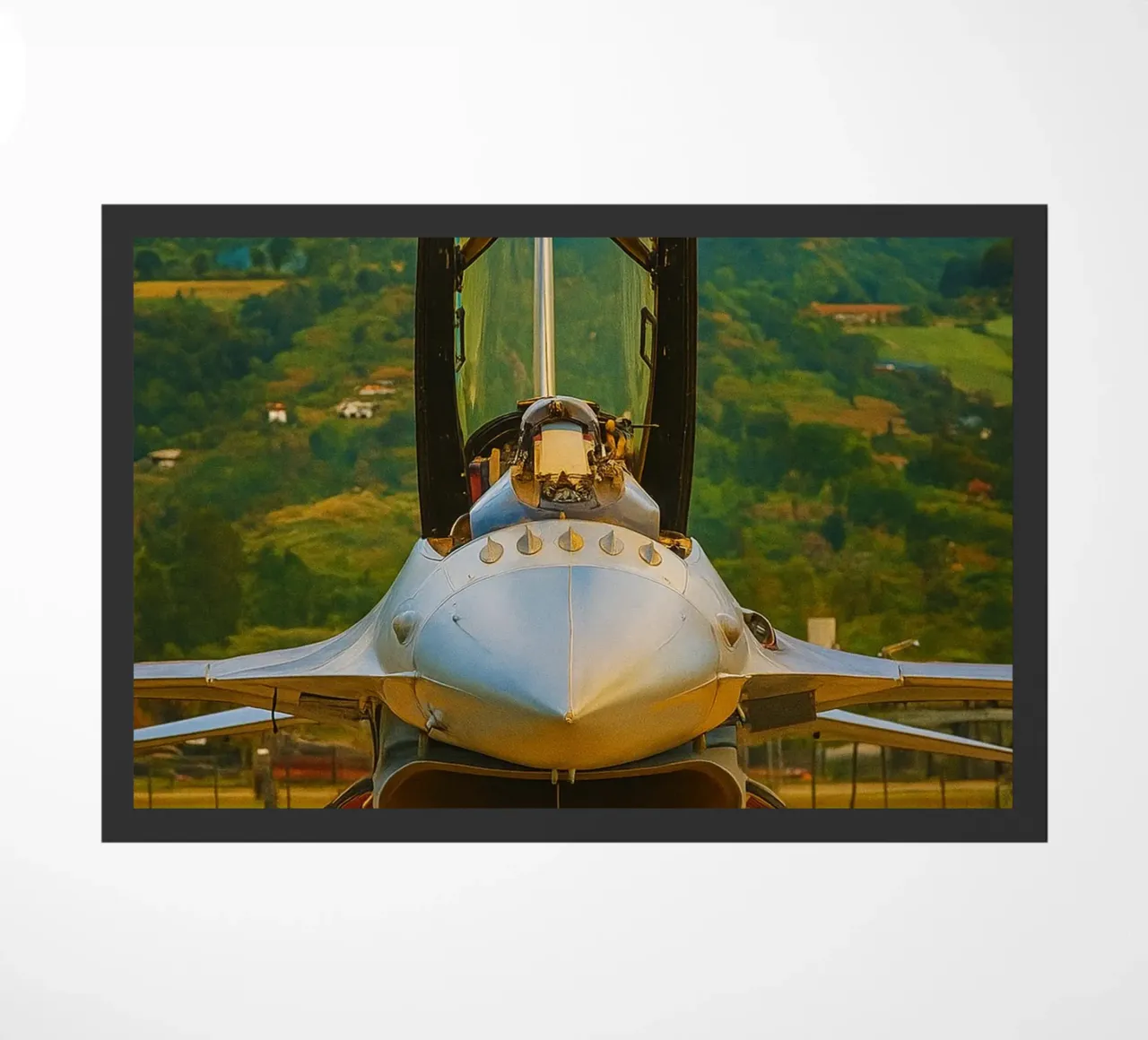 aereo f16 da combattimento zerbino da tamarind