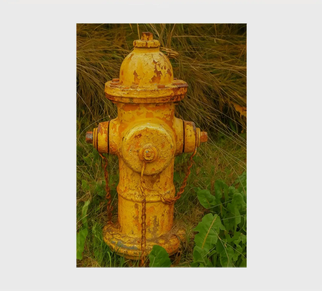 alter rostiger Hydrant Notizbuch von tamarind