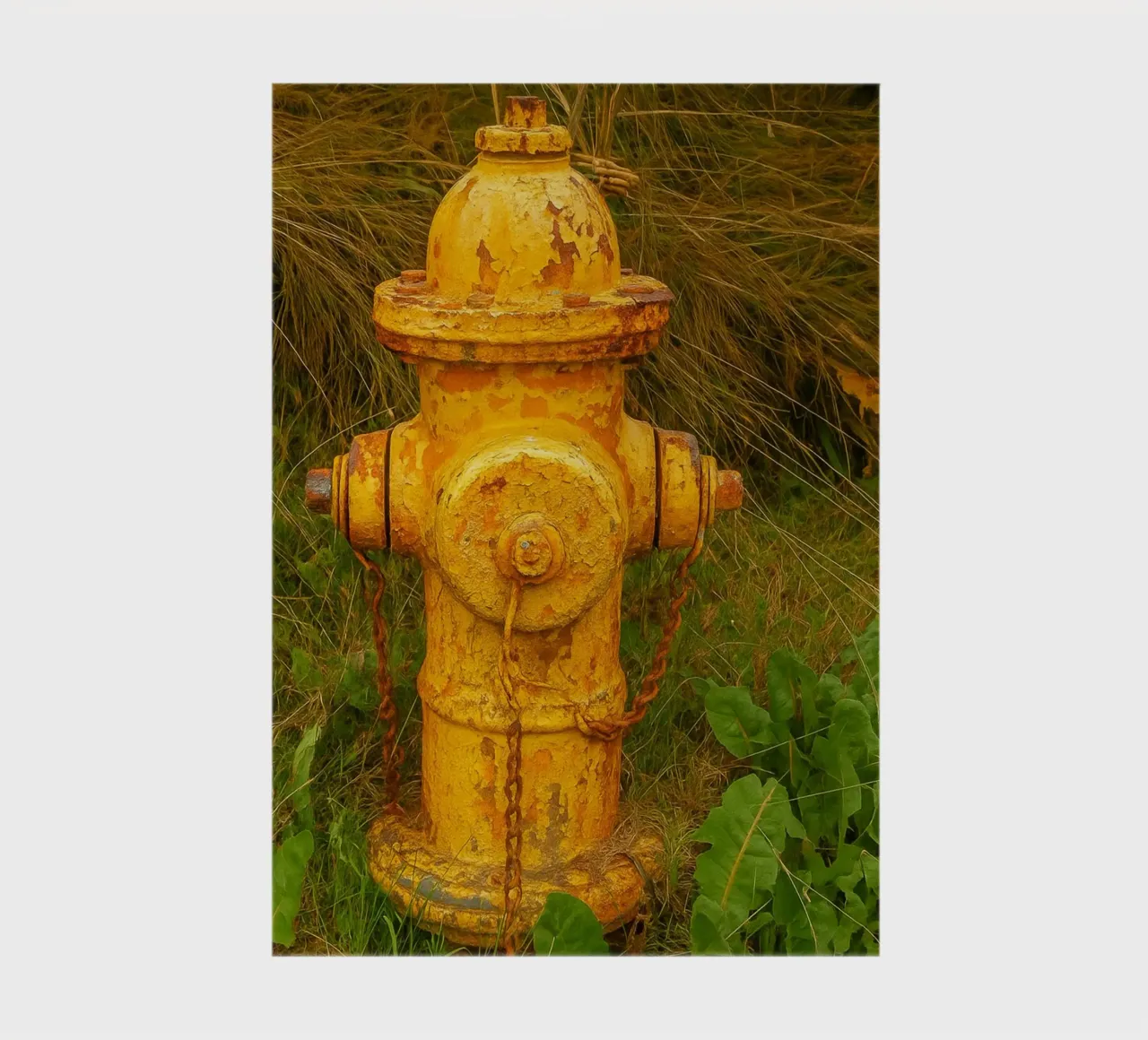 alter rostiger Hydrant Notizbuch von tamarind
