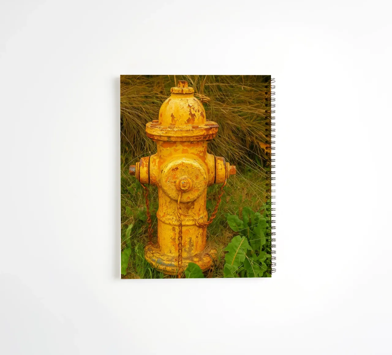 vieille bouche d'incendie rouillée carnet à spirale de tamarind