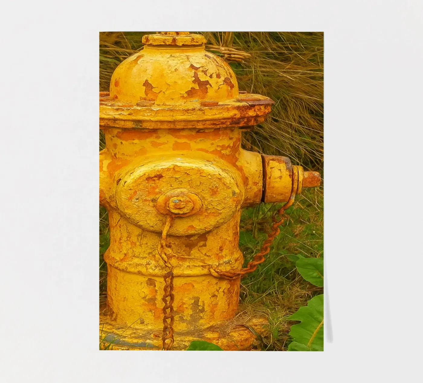 old rusty hydrant sticker sheet by tamarind