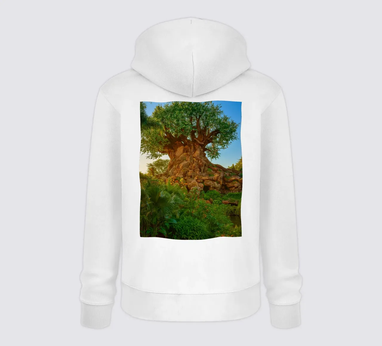 vecchio albero nella foresta felpa con cappuccio da tamarind