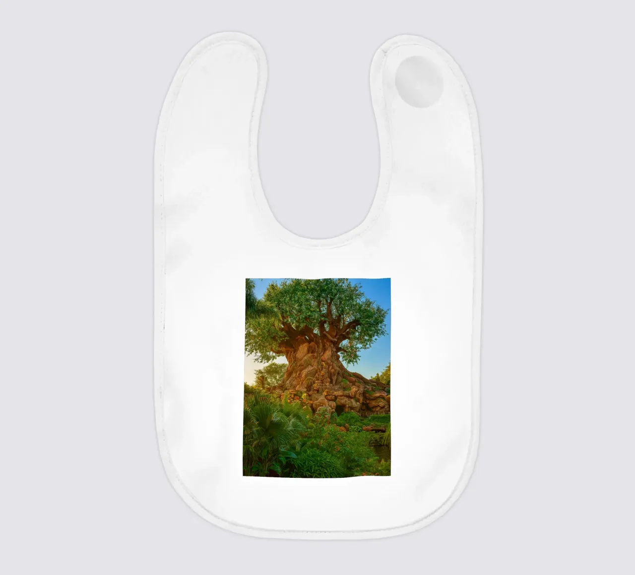 vecchio albero nella foresta bavaglino da tamarind