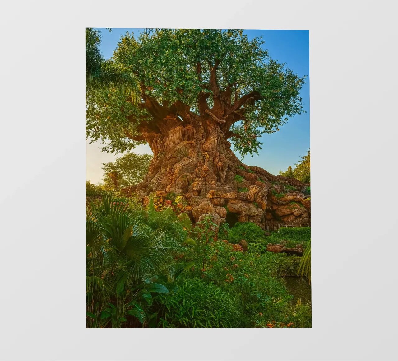 vecchio albero nella foresta telo in pvc da tamarind