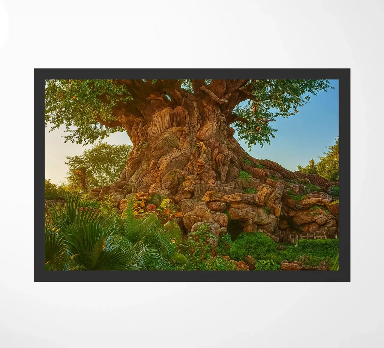 vecchio albero nella foresta zerbino da tamarind