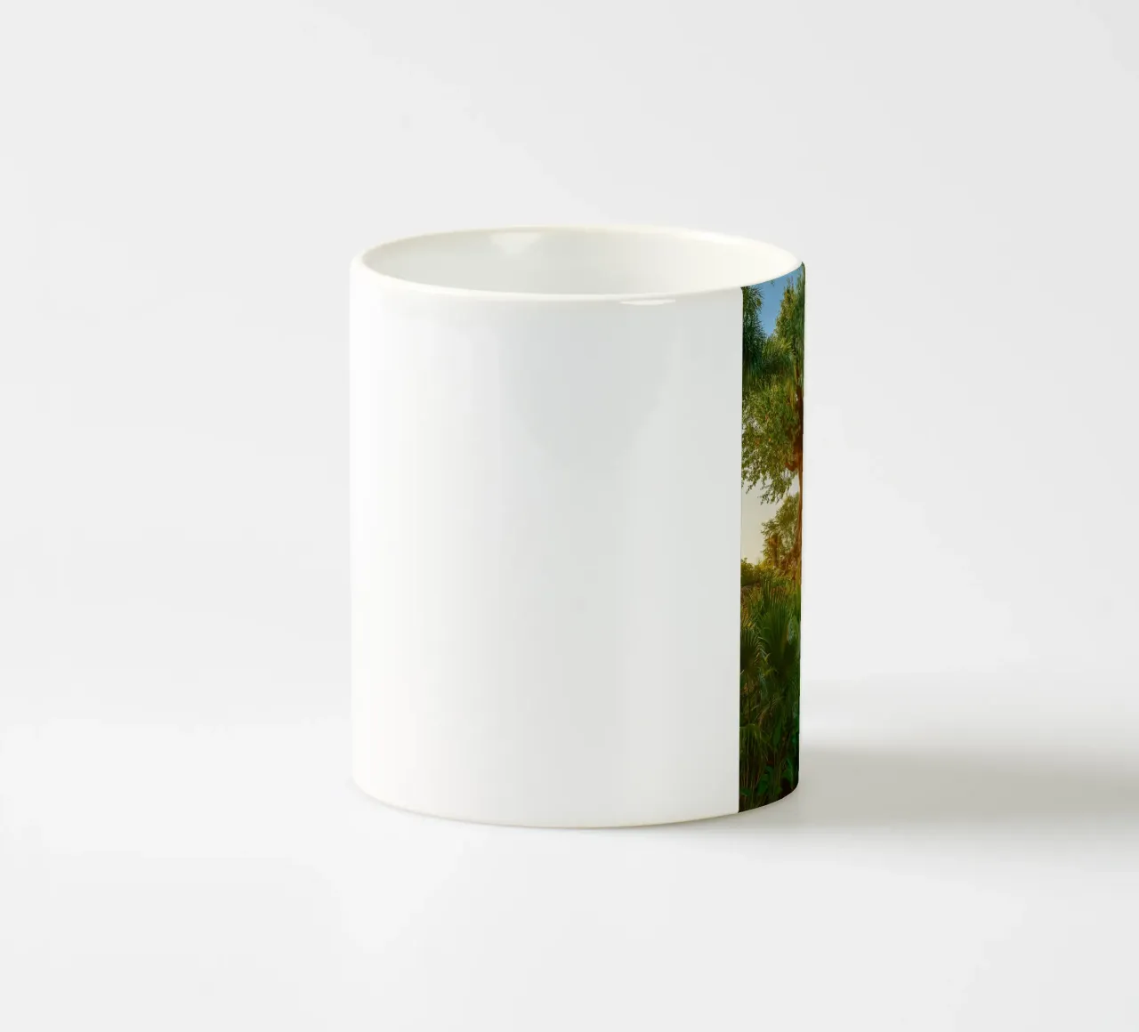 vecchio albero nella foresta tazza in ceramica da tamarind