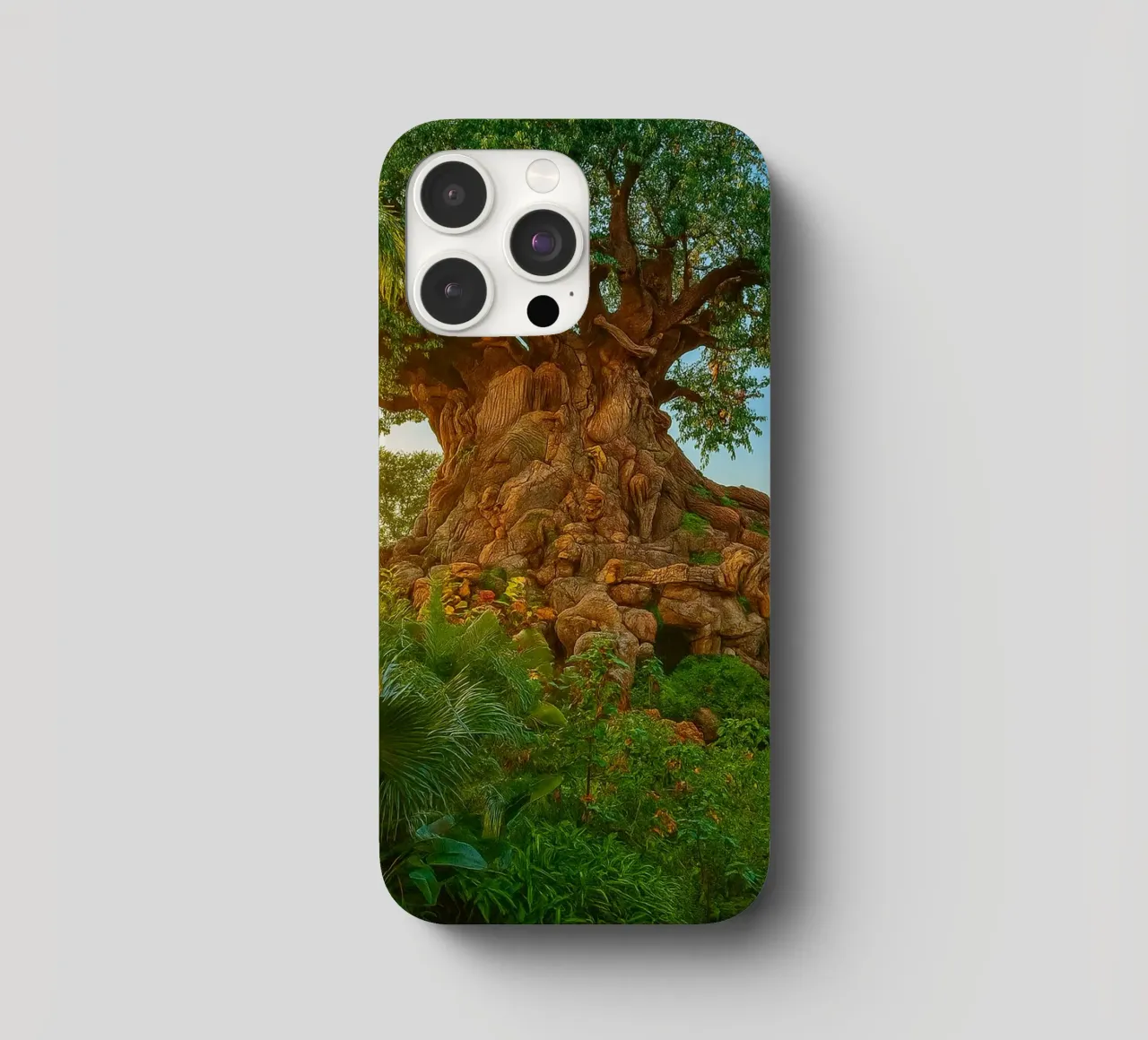 old tree in the forrest iphone case by tamarind