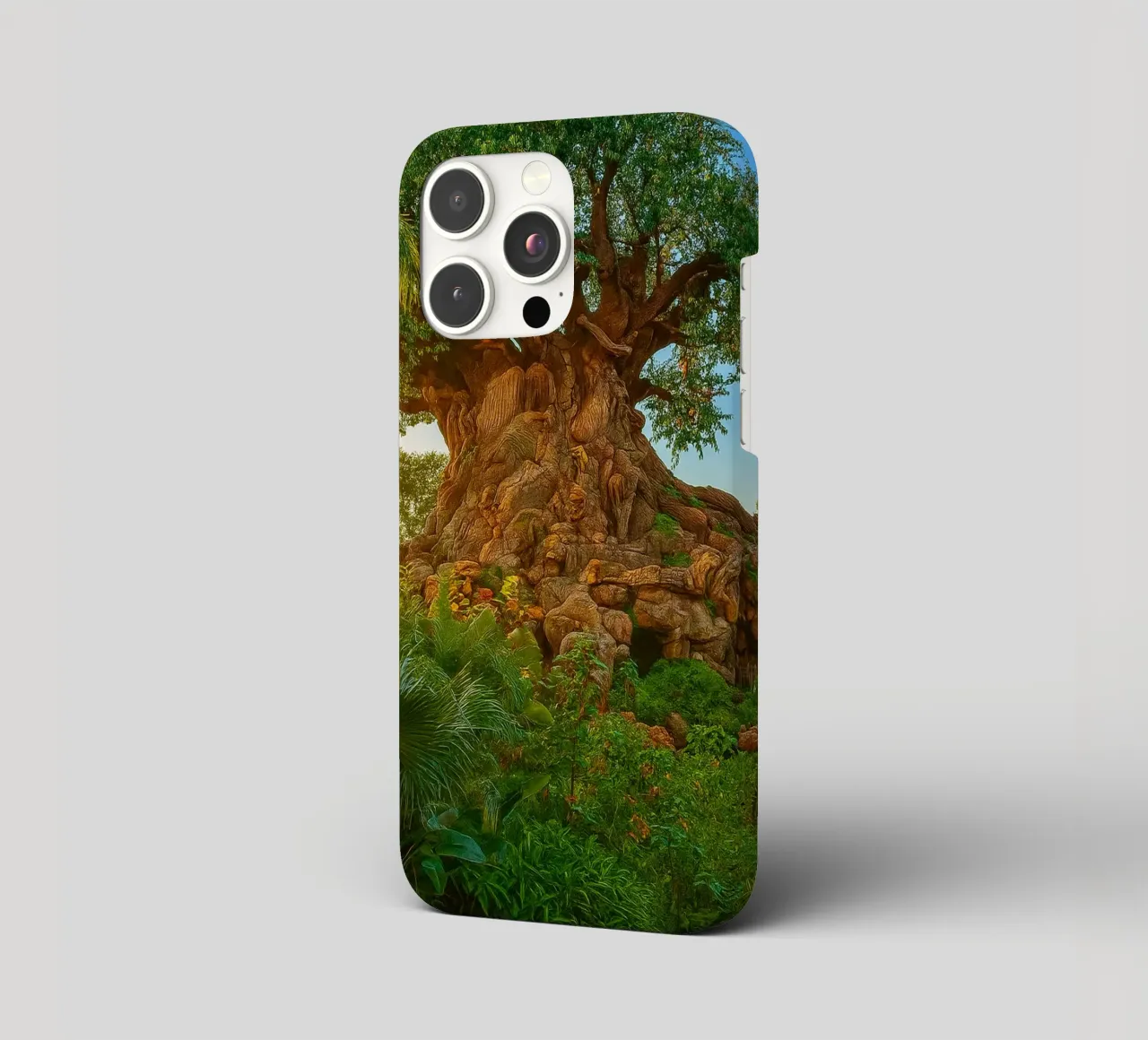 old tree in the forrest iphone case by tamarind