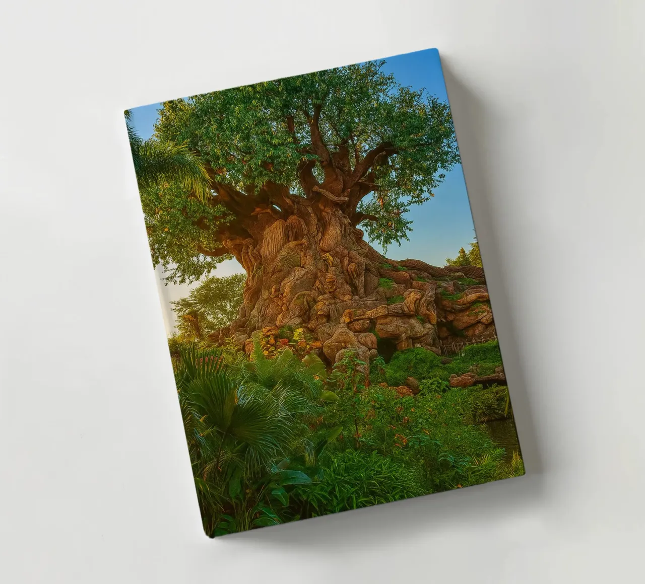 vecchio albero nella foresta diario da tamarind