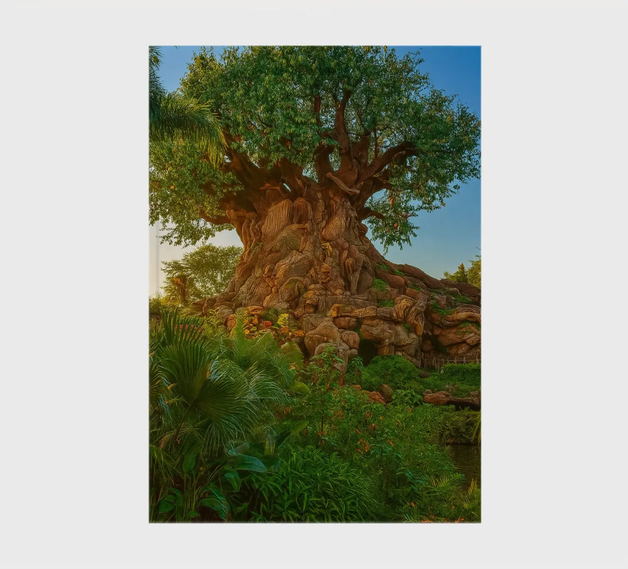 alter baum im wald Notizbuch von tamarind