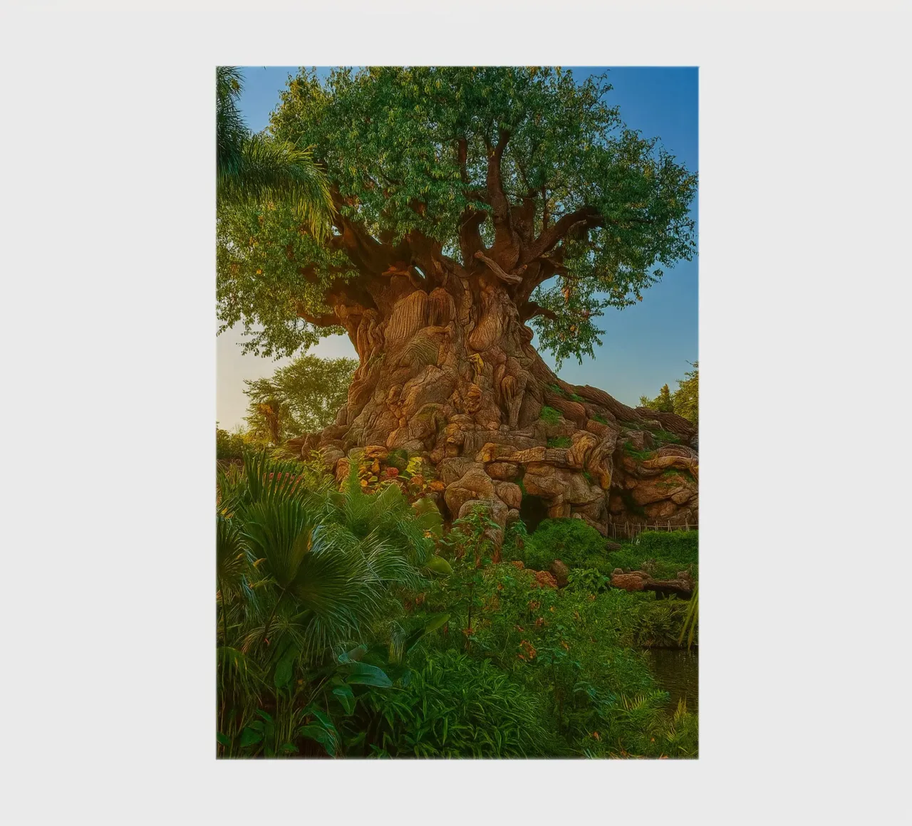 vecchio albero nella foresta diario da tamarind