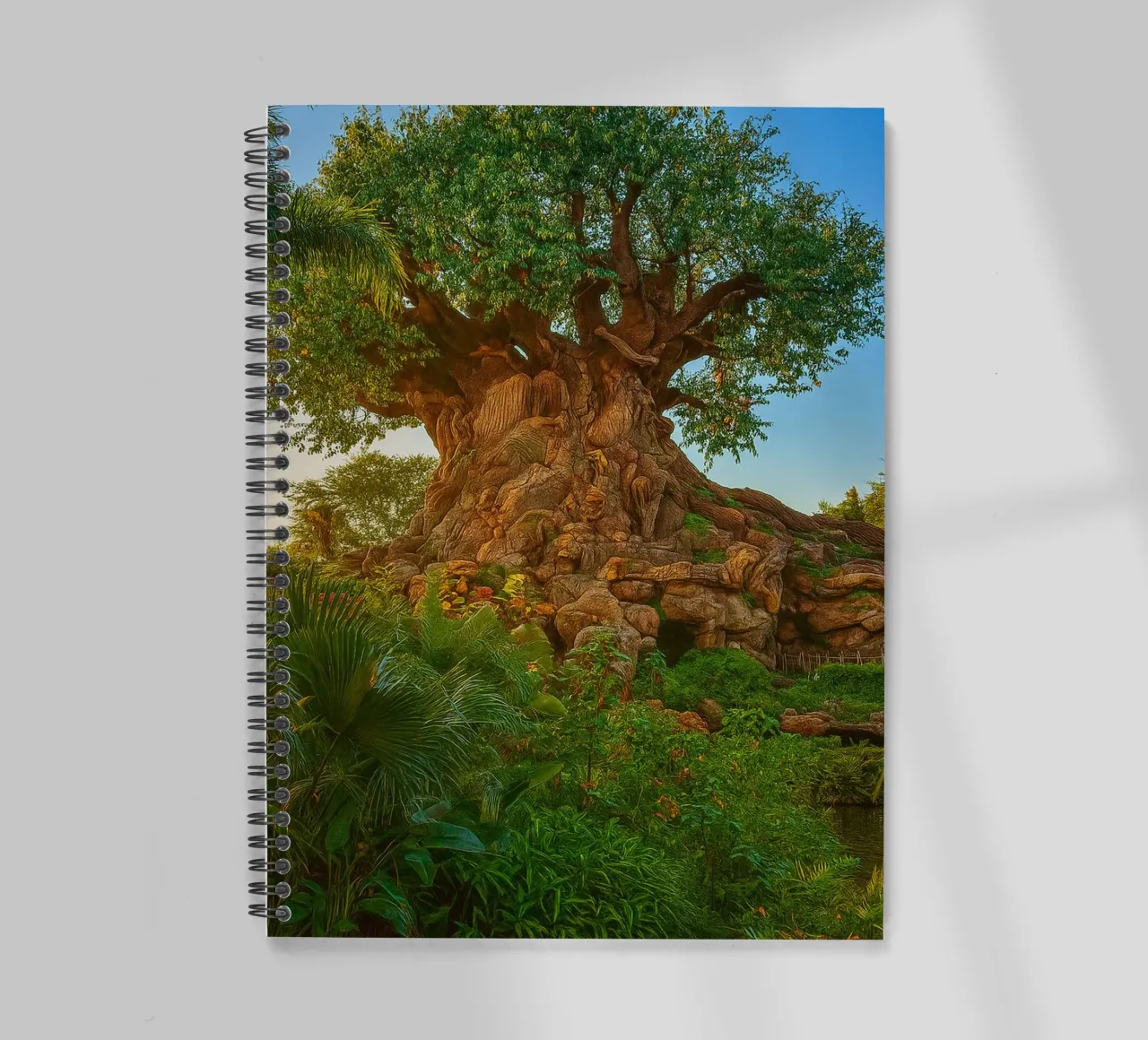oude boom in het bos notitieboek met spiraal van tamarind