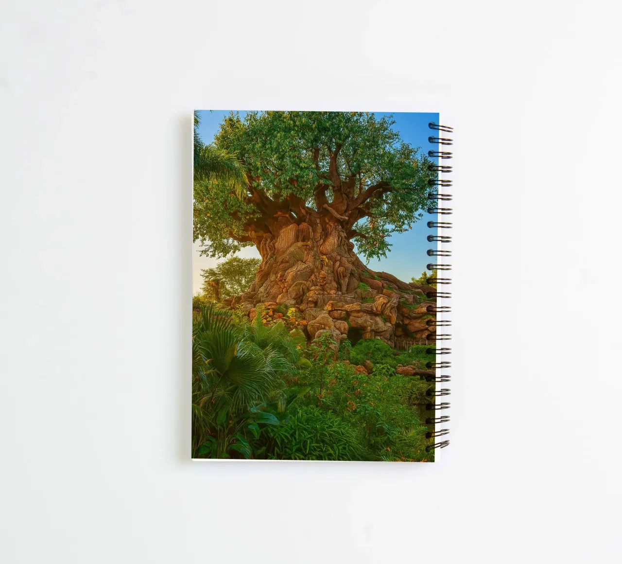 oude boom in het bos notitieboek met spiraal van tamarind