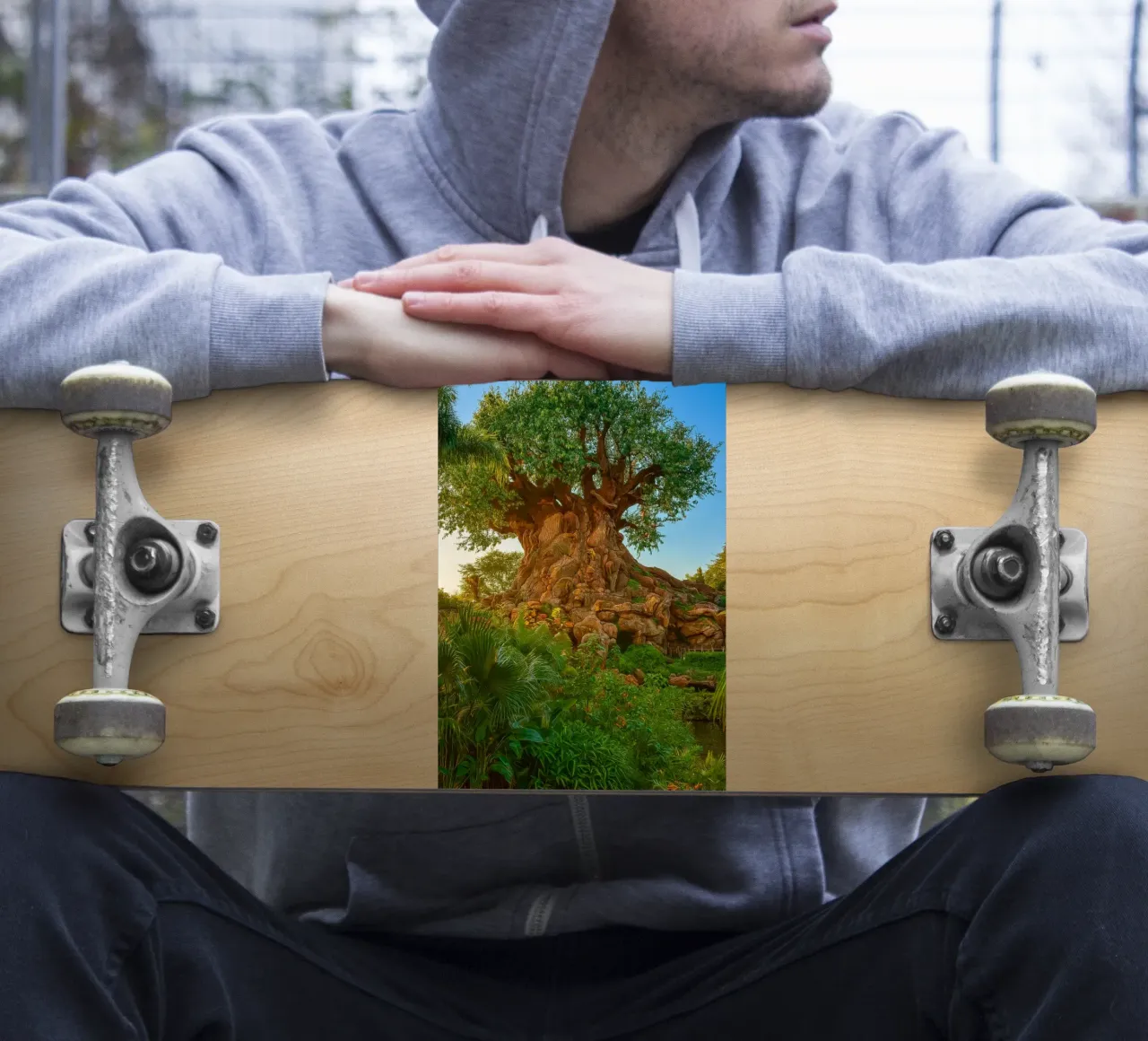 old tree in the forrest sticker by tamarind