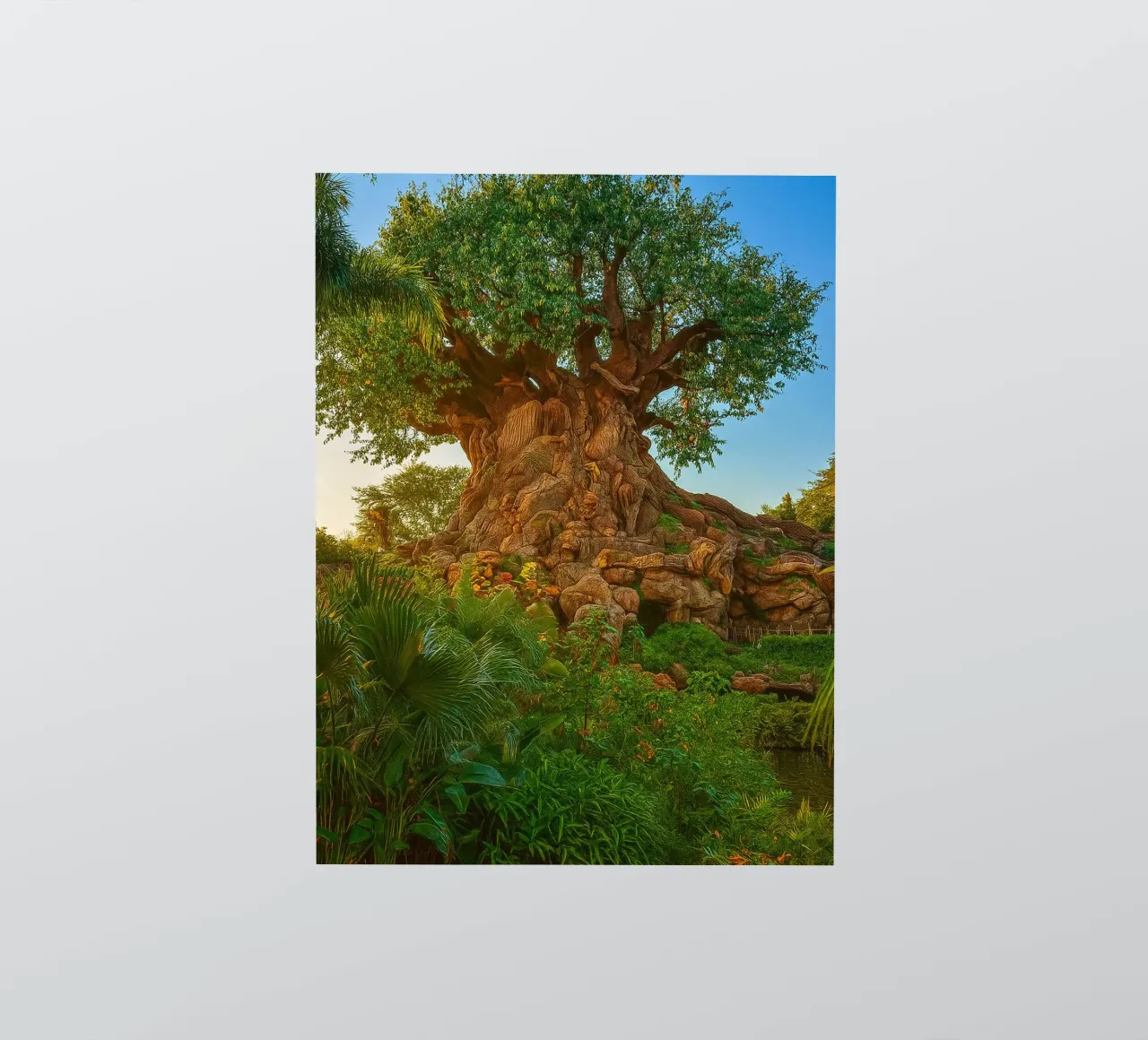old tree in the forrest sticker by tamarind