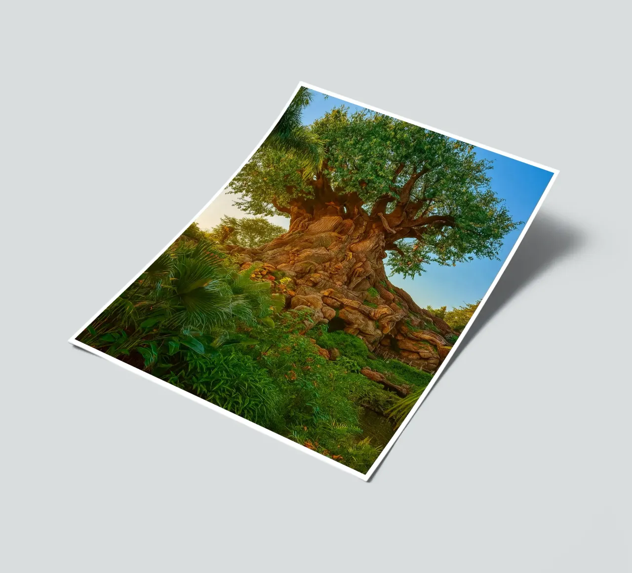 old tree in the forrest sticker sheet by tamarind