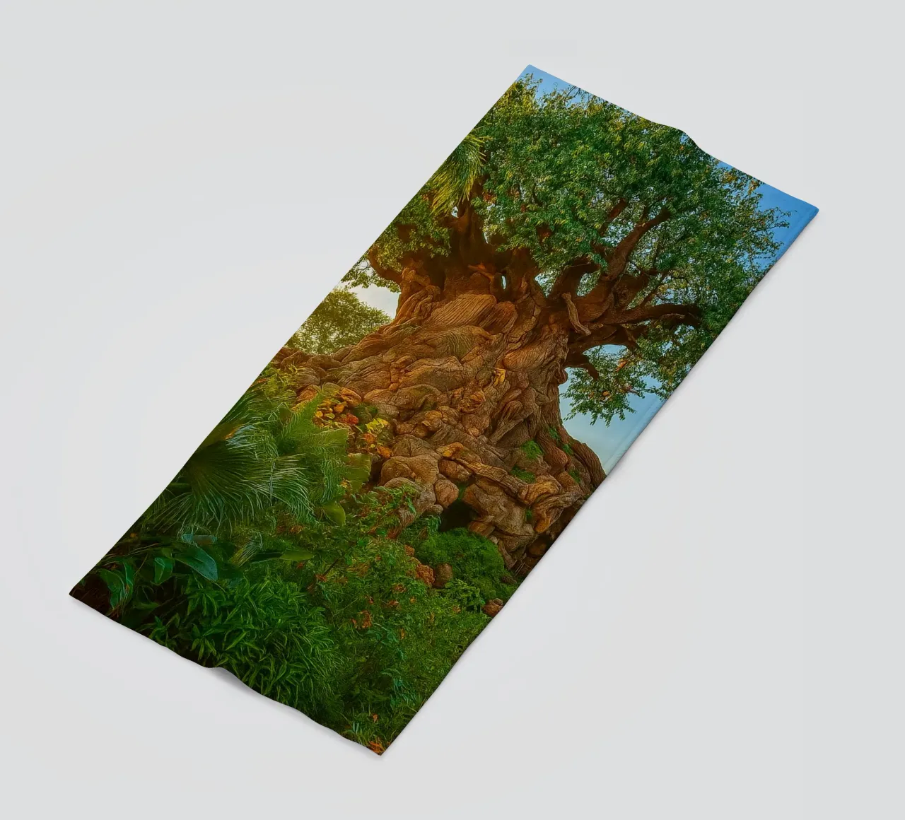 vecchio albero nella foresta telo mare da tamarind