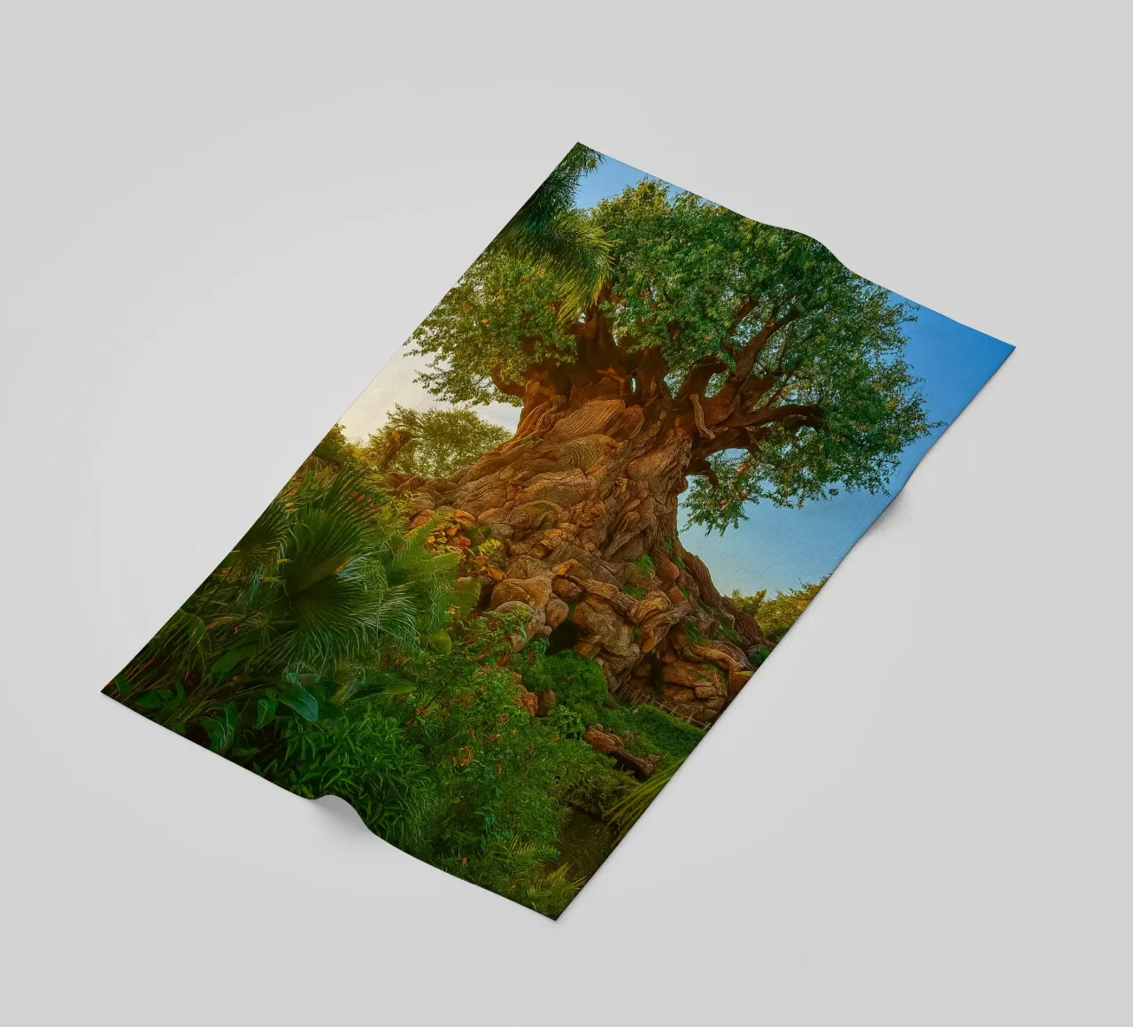 vecchio albero nella foresta telo mare da tamarind
