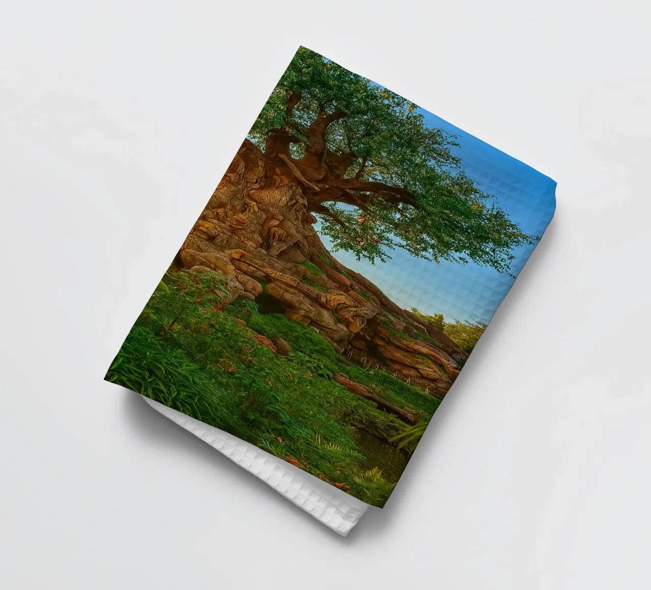 vecchio albero nella foresta canovaccio da cucina da tamarind