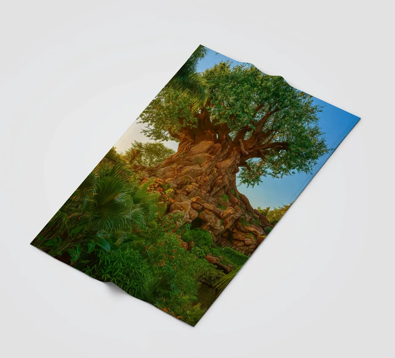 vecchio albero nella foresta coperta in pile da tamarind