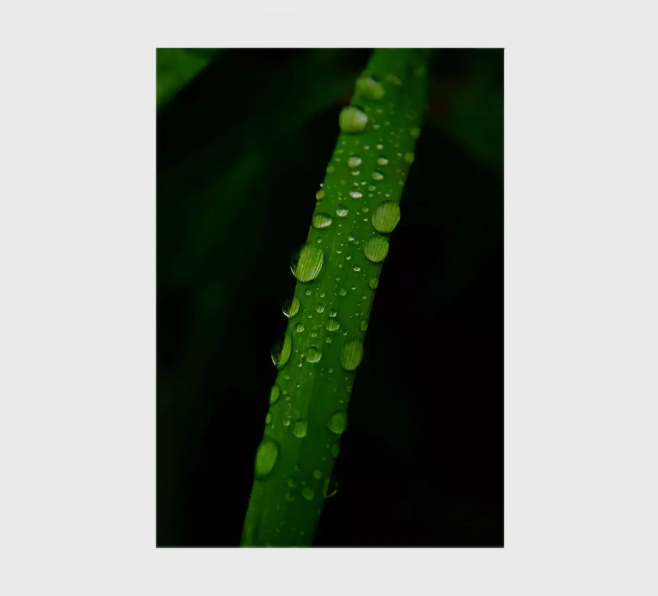 Waterdrops on a blade of grass notebook by Fjöllart
