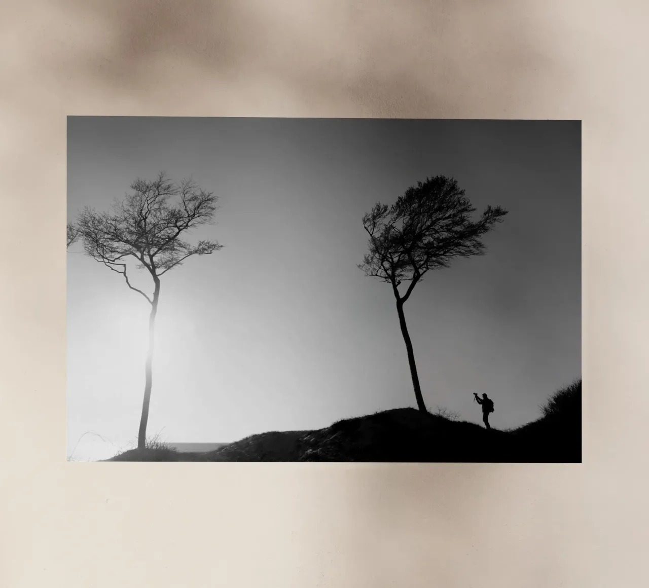 The photographer and the tree pellicola backlit da Fjöllart