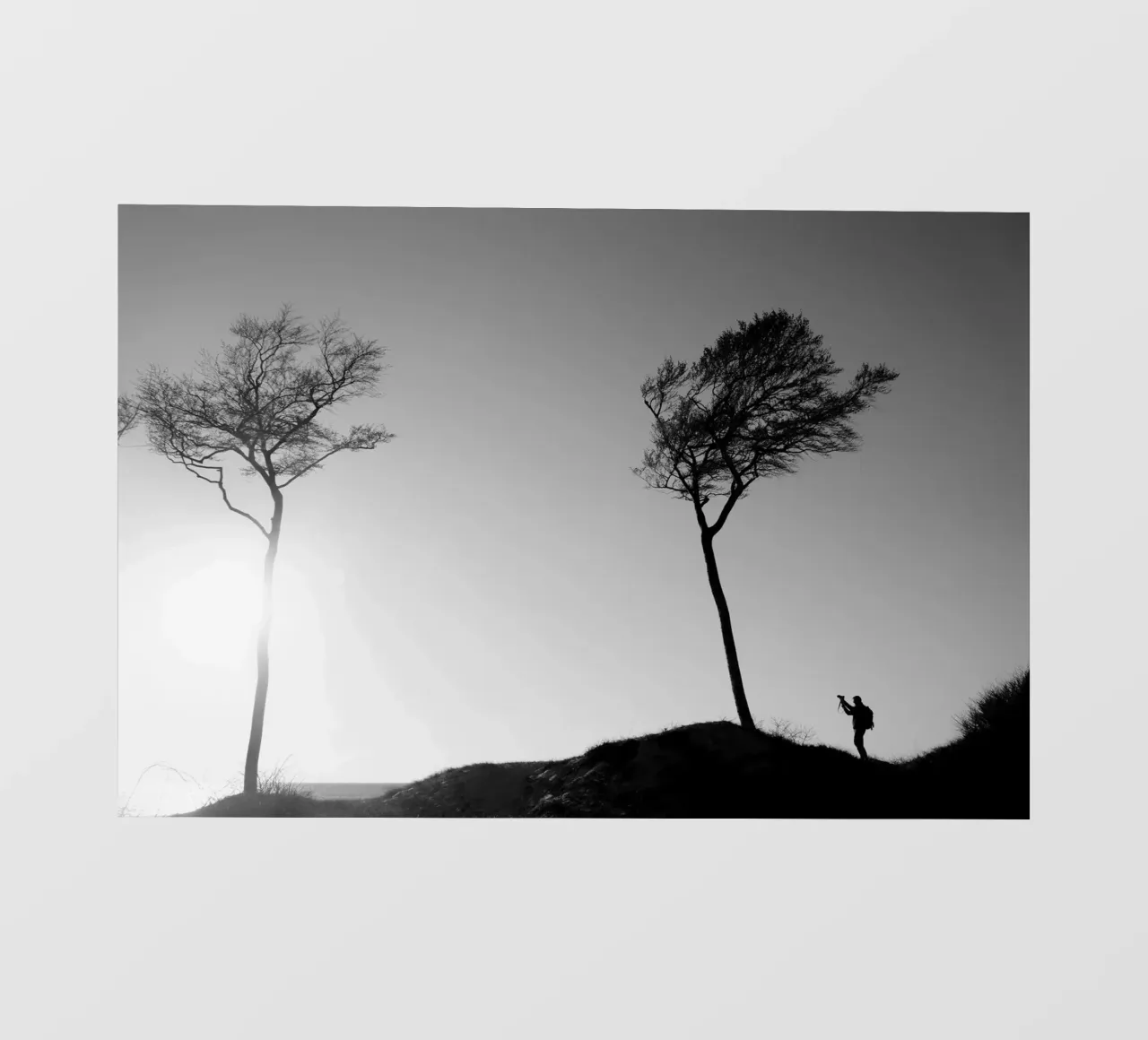 The photographer and the tree telo in pvc da Fjöllart