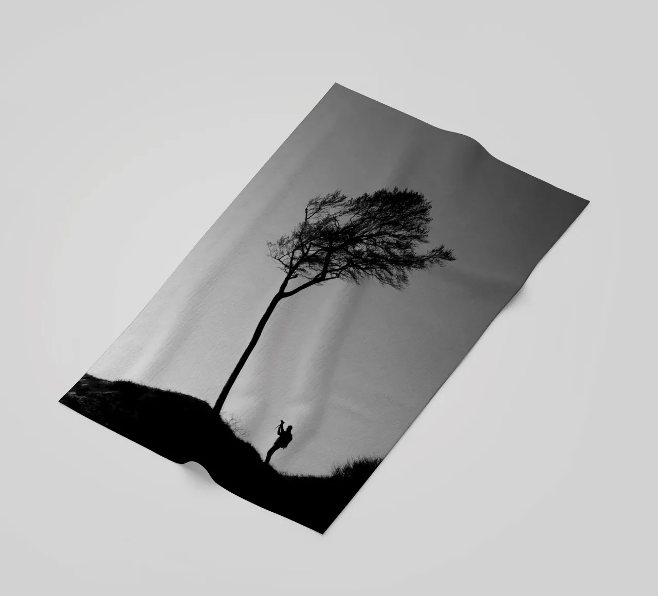 The photographer and the tree telo mare da Fjöllart