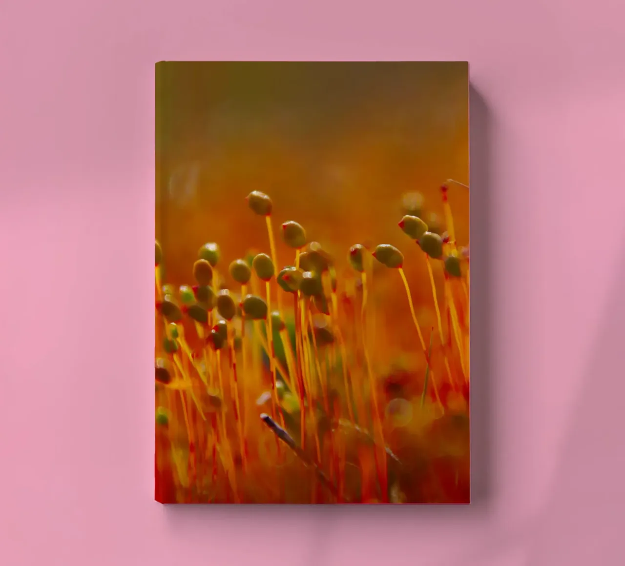 Little sprouts notebook by Fjöllart