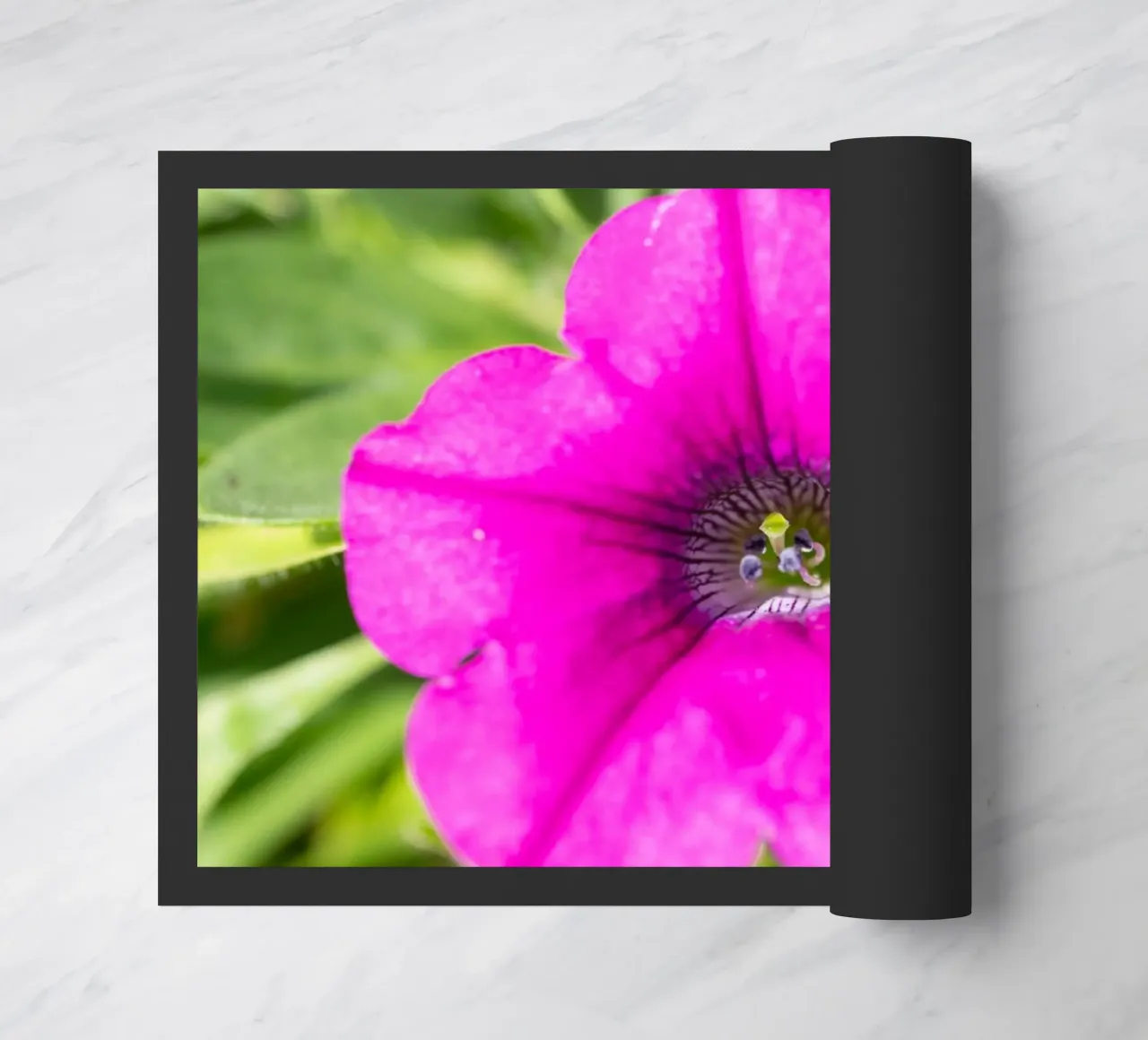 Flora #15 zerbino da rafael campezato