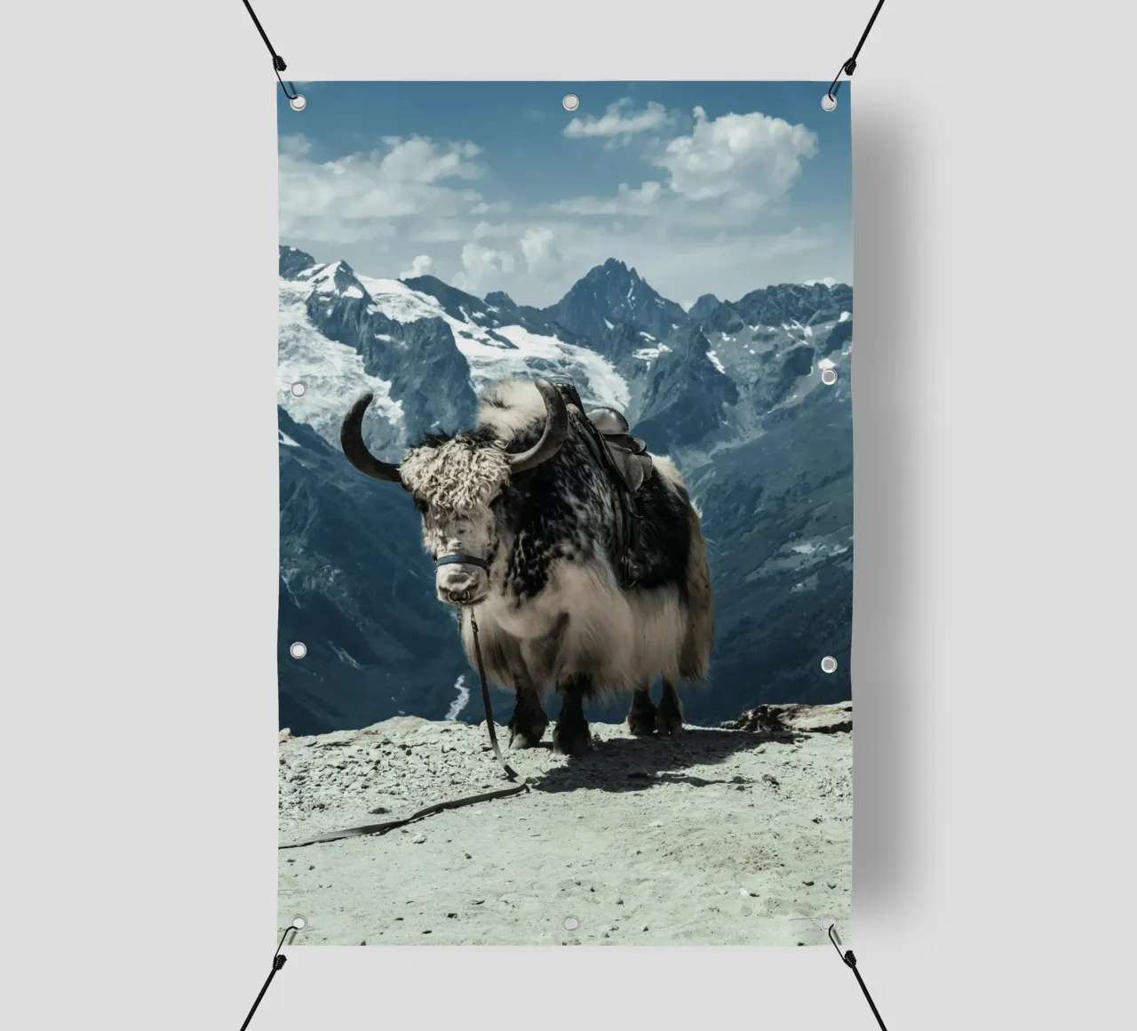 Yak in piedi su un sentiero di montagna telo in pvc da The Herringstore